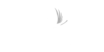 Corales Puntacana Championship 2022