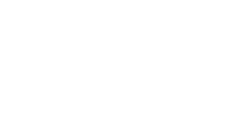 The player logo